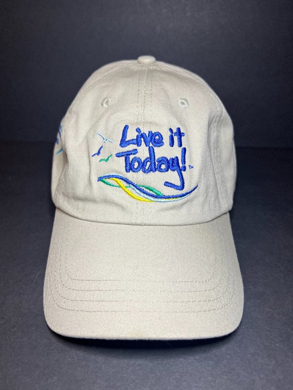 Aquatic Life Men's Embroidered Live it Today! Adjustable Strapback Baseball Hat